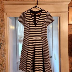 Banana Republic Striped Black and White Dress